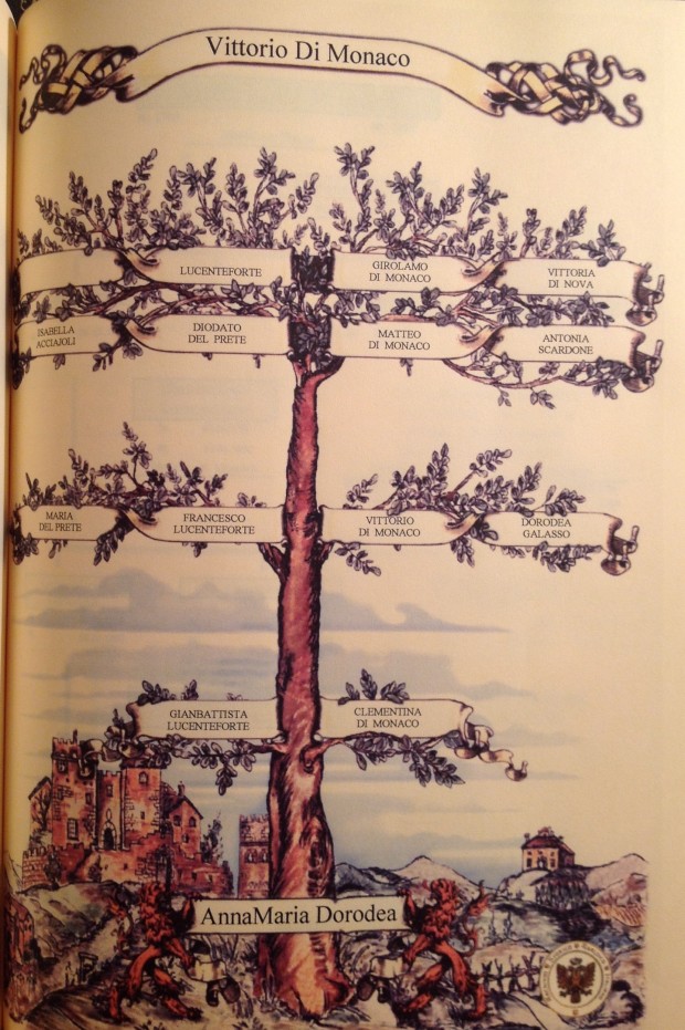 image8
